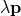 \lambda \textbf{p}